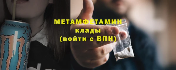 прущие грибы Сафоново