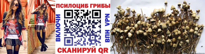 Галлюциногенные грибы Psilocybine cubensis  Ясногорск 